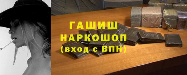 мдпв Гусев