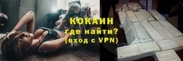 мдпв Гусев