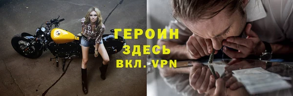 мдпв Гусев