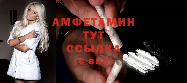 мдпв Гусев