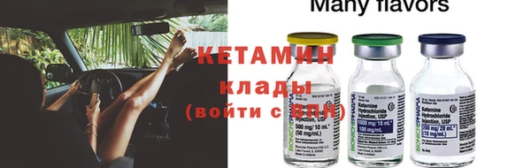 мдпв Гусев