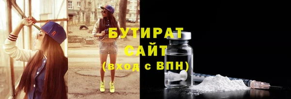 мдпв Гусев