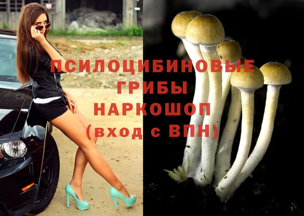 мдпв Гусев