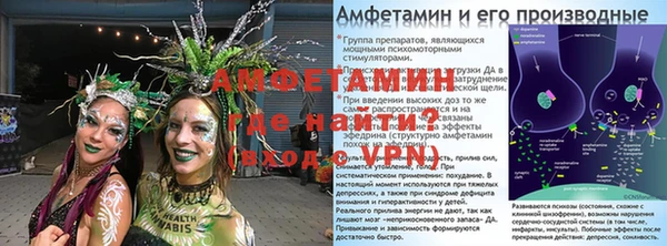 мдпв Гусев
