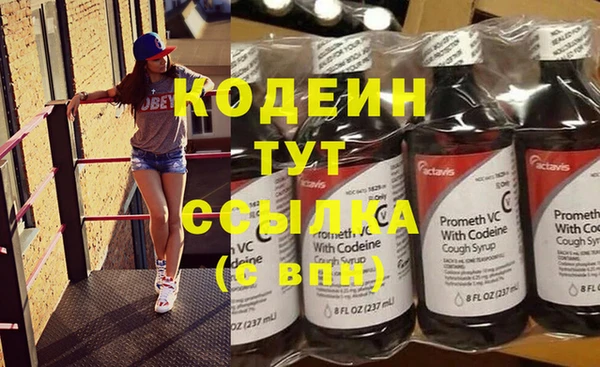 мдпв Гусев