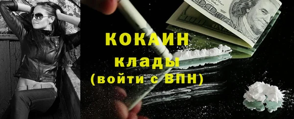 мдпв Гусев