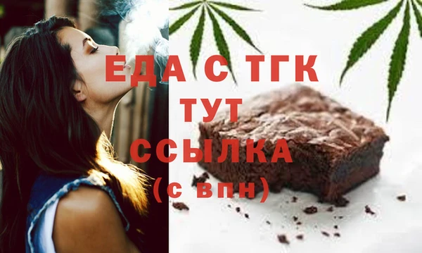 мдпв Гусев