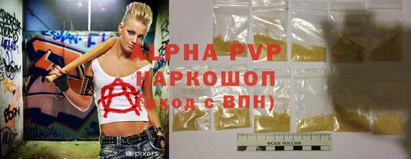 мдпв Гусев