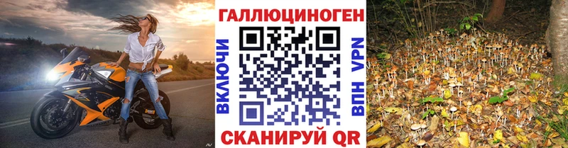Купить где  Верхнеуральск  Галлюциногенные грибы мухоморы 